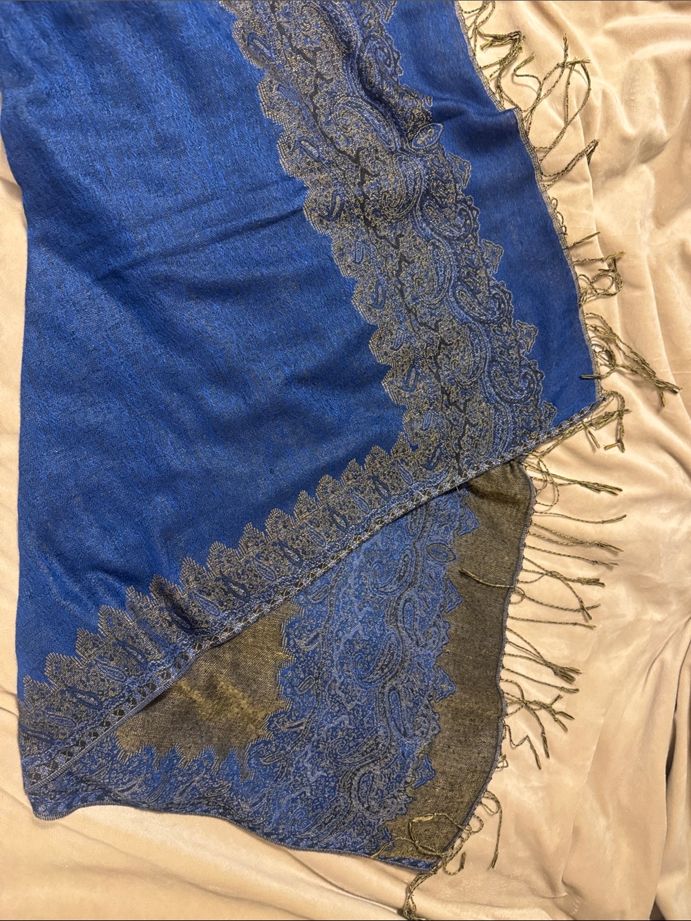 Blue Paisley Fringed Shawl Scarf